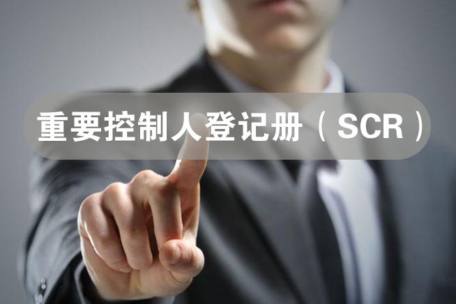 香港公司SCR和水牌分别是什么